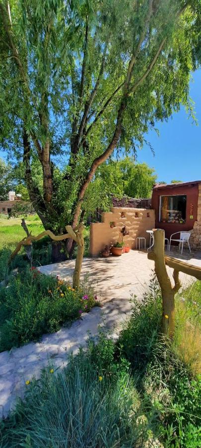 Cabana El Cardon,Casita En El Campo Quebradeno 乌玛瓦卡 外观 照片