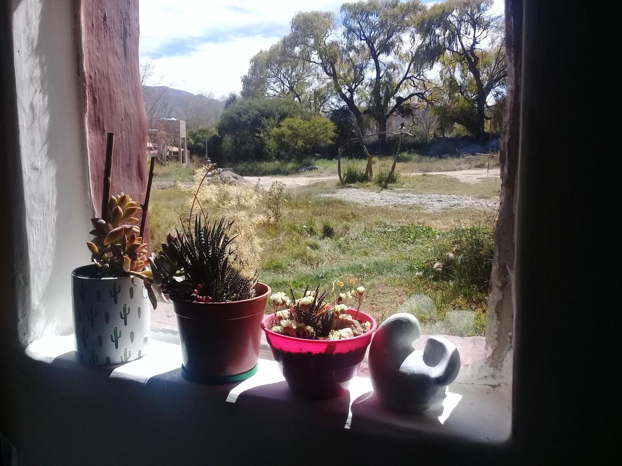 Cabana El Cardon,Casita En El Campo Quebradeno 乌玛瓦卡 外观 照片