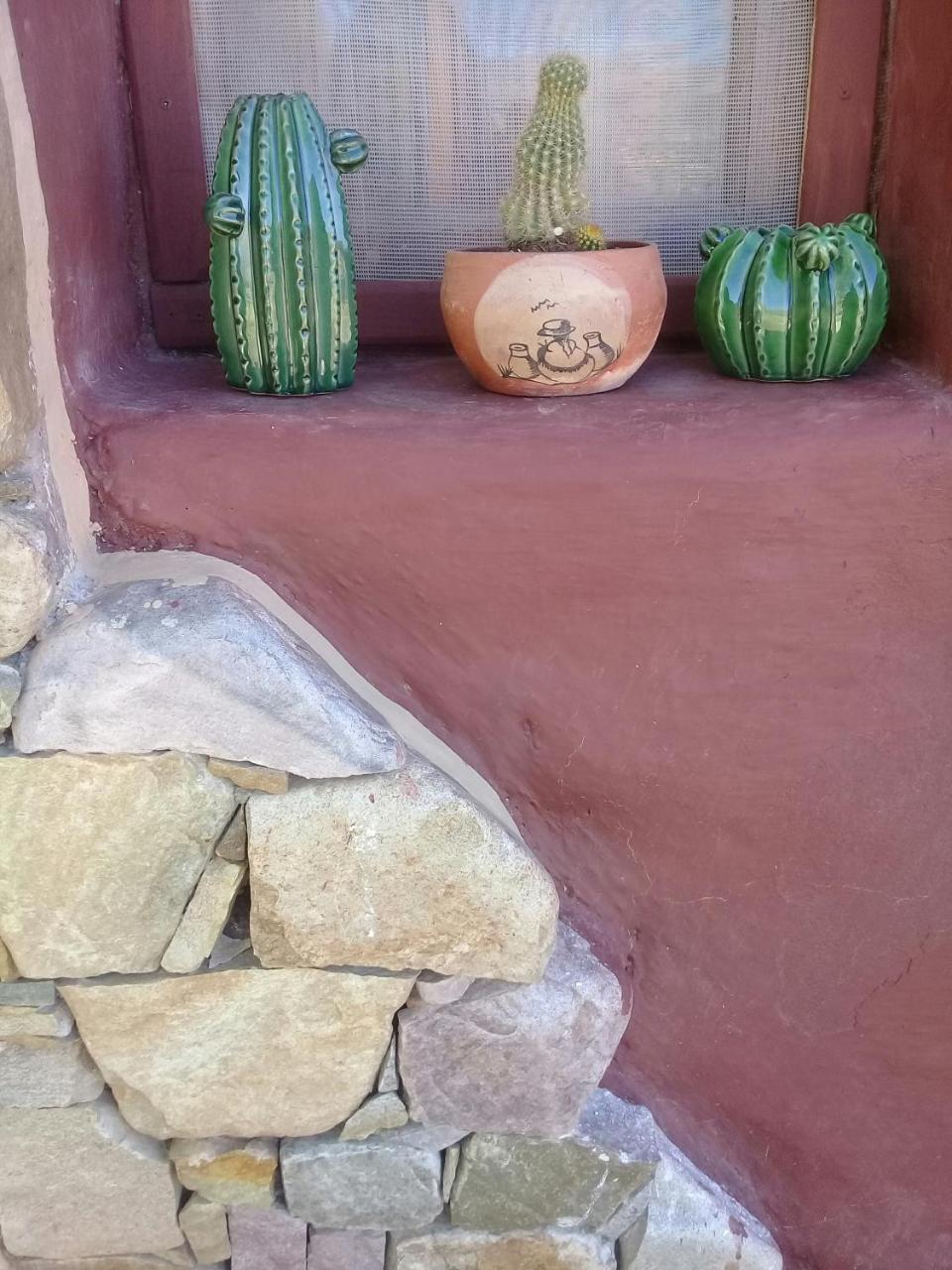 Cabana El Cardon,Casita En El Campo Quebradeno 乌玛瓦卡 外观 照片