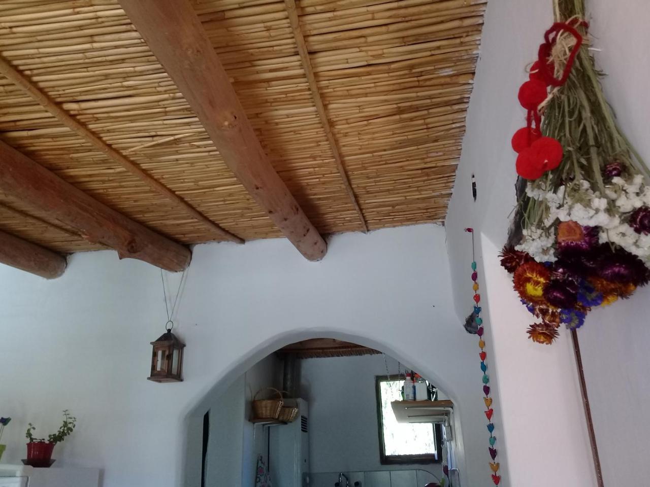 Cabana El Cardon,Casita En El Campo Quebradeno 乌玛瓦卡 外观 照片