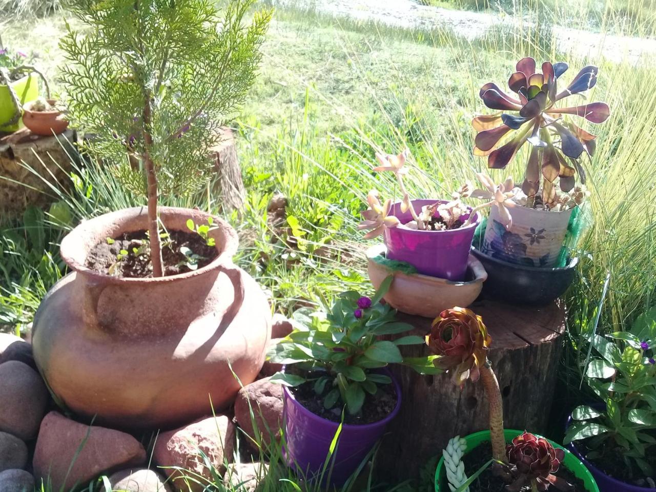 Cabana El Cardon,Casita En El Campo Quebradeno 乌玛瓦卡 外观 照片