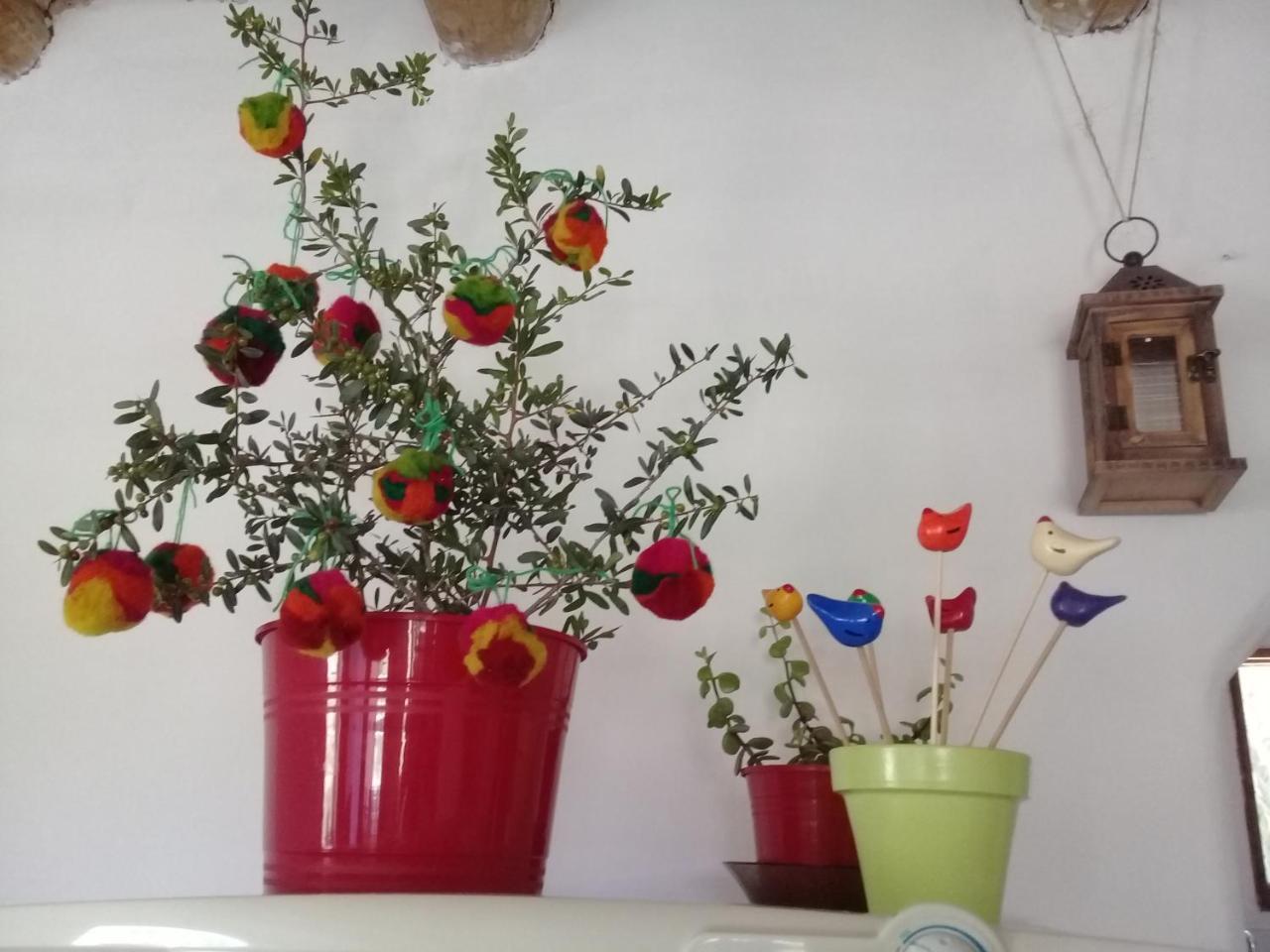 Cabana El Cardon,Casita En El Campo Quebradeno 乌玛瓦卡 外观 照片
