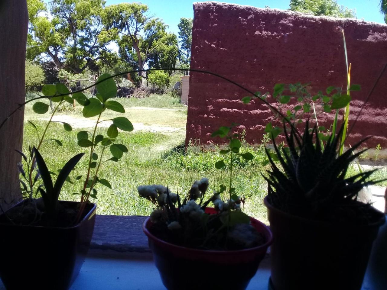 Cabana El Cardon,Casita En El Campo Quebradeno 乌玛瓦卡 外观 照片