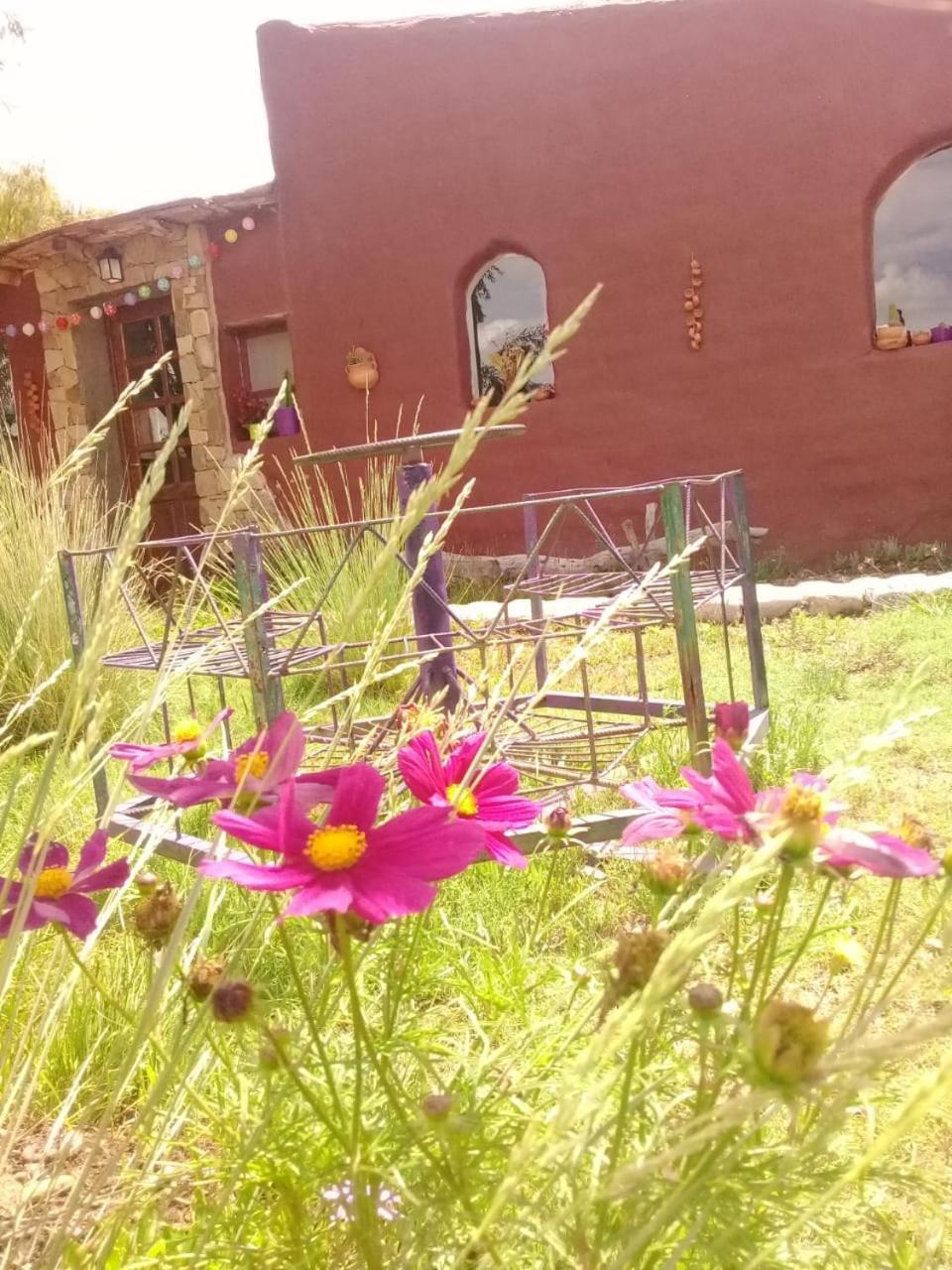 Cabana El Cardon,Casita En El Campo Quebradeno 乌玛瓦卡 外观 照片