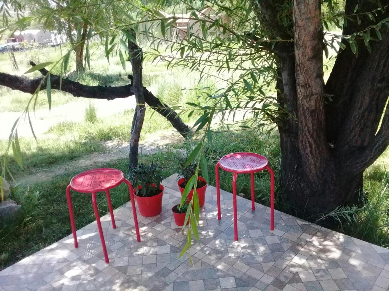 Cabana El Cardon,Casita En El Campo Quebradeno 乌玛瓦卡 外观 照片